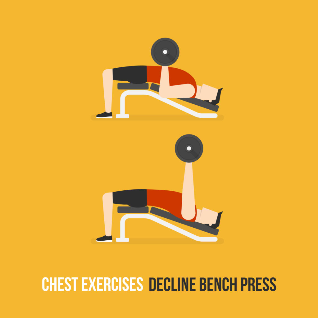 Decline Chest Exercises