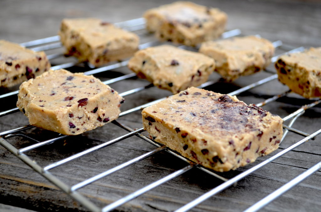 Chocolate Chip Paleo Sugar Free Protein Bars