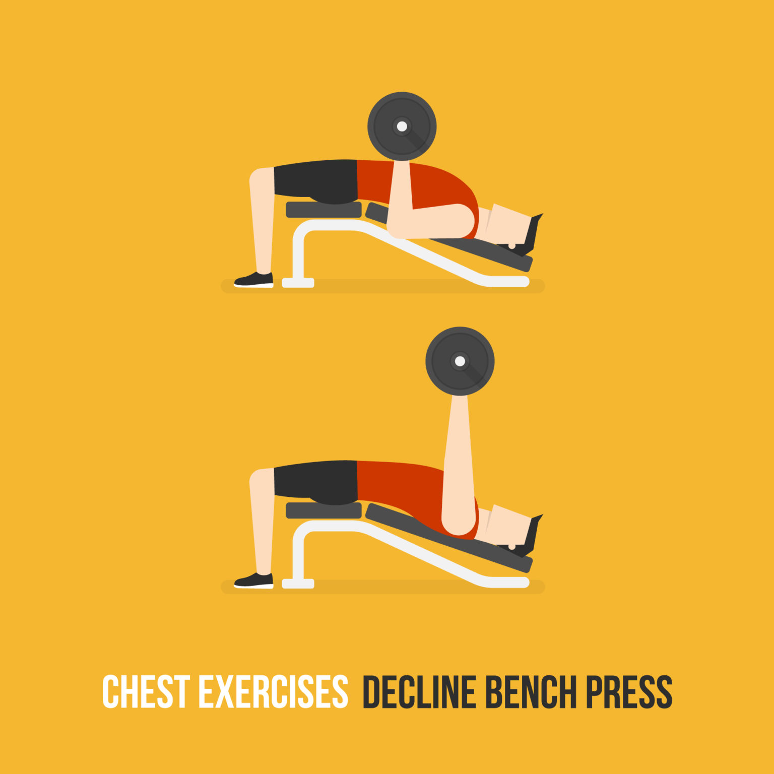 2021's Guide to Best Chest Press Machines and Exercises Akin Trends