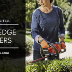 Best Hedge Trimmers