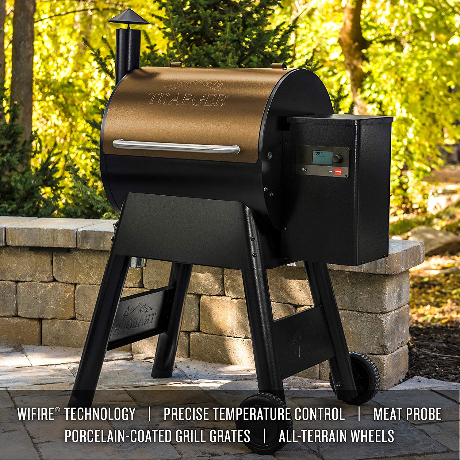 Traeger Pro Series 575 Smoker & Grill