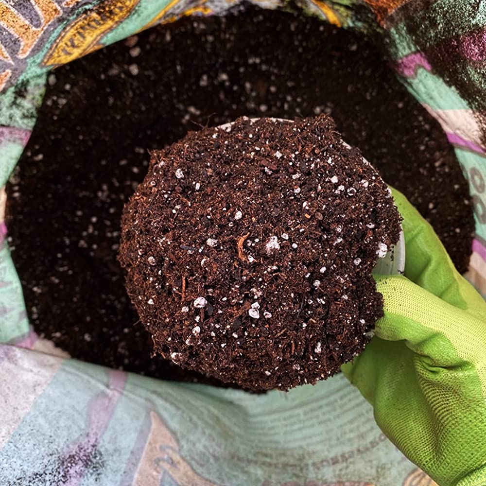 FoxFarm Ocean Forest Potting Soil