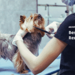 Best Pet Hair Remover Tool