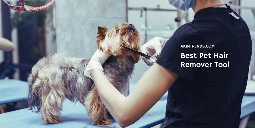 Best Pet Hair Remover Tool