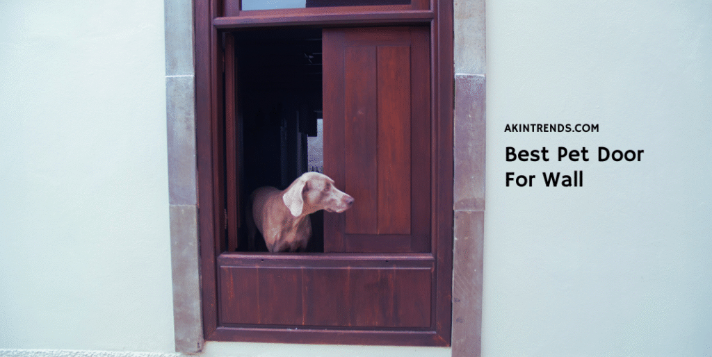 Best Pet Door for wall